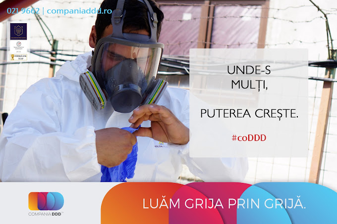 Cum previi infestările prin planuri profesionale DDD