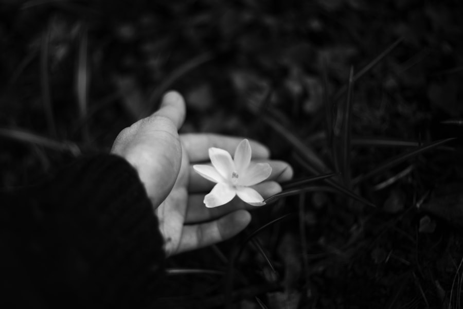 Photo gentleness