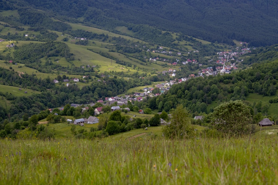 Photo răbdare