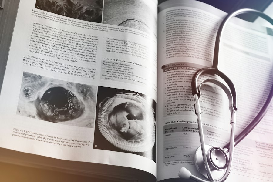 women's health guide